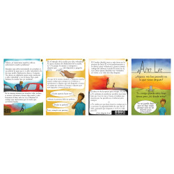 SPANISH Afterlife Tract (50 Pack)
